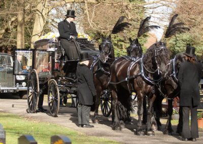 horse-drawn hearse