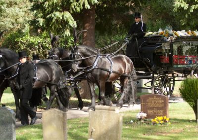Horse and carriage hearse