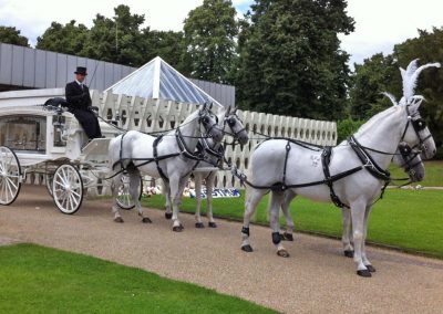 Horse drawn carriage