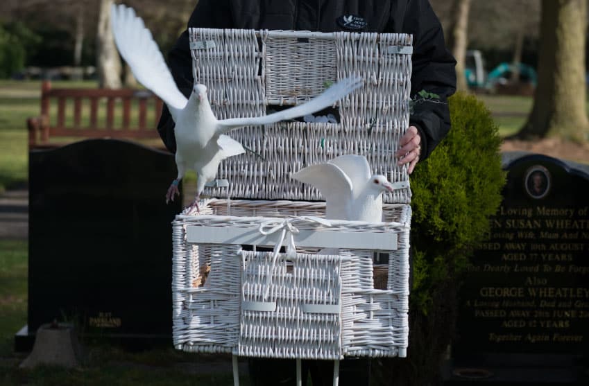 releasing white doves at a funeral