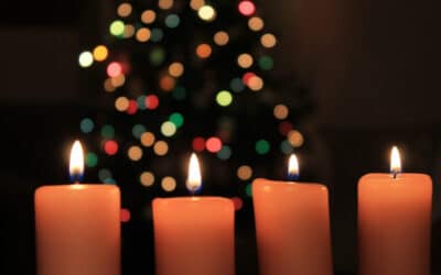 Christmas Bereavement Newsletter written by Dr. Bill Webster