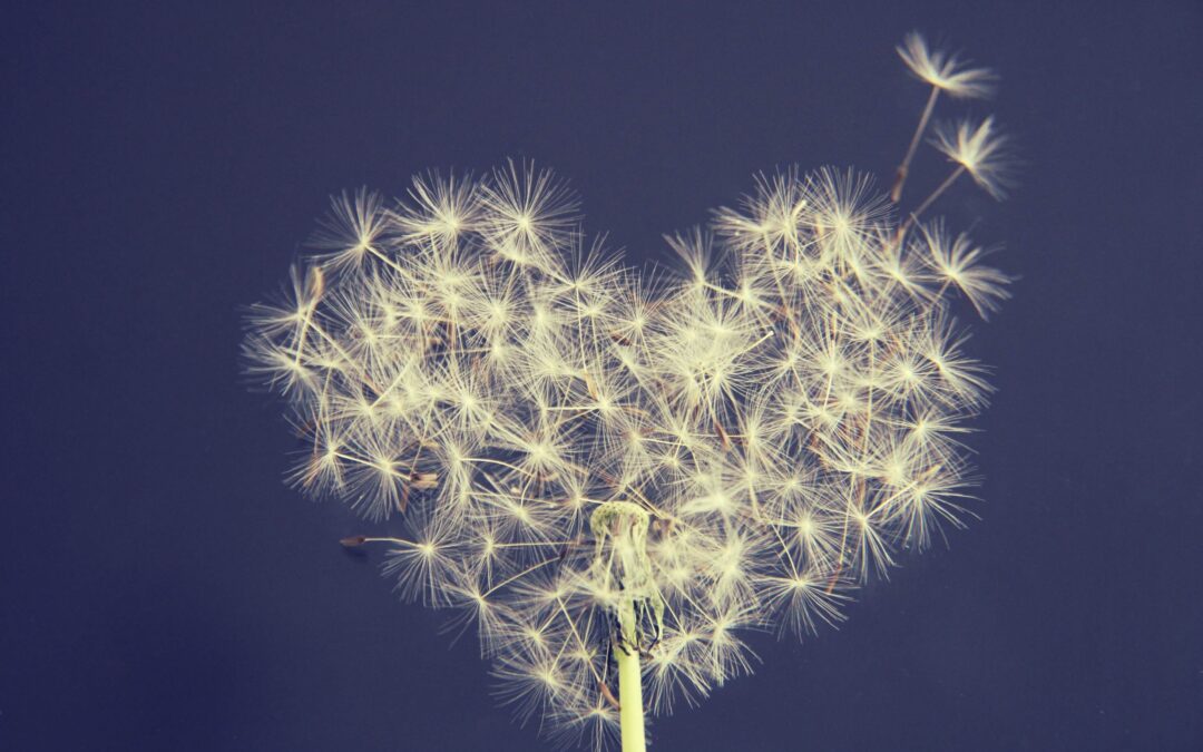 Find a Reputable Funeral Director in Billericay