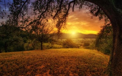 How to arrange a direct cremation in Essex